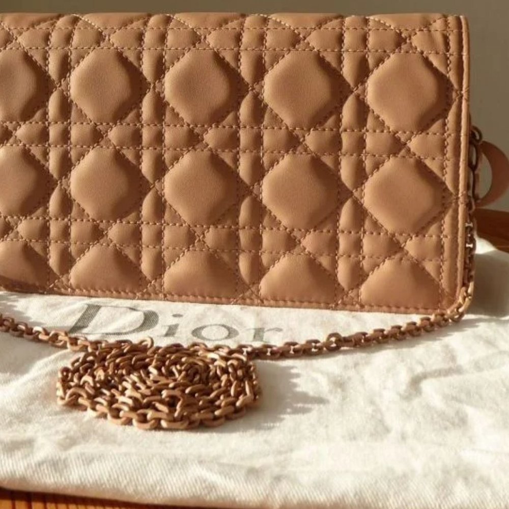 Christian Dior Lady Dior Pouch in Blush Ultra Matte Cannage Calfskin